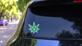 Fun Marijuana Cartoon With Silly Face Sticker on a Rear Car Window (New) example