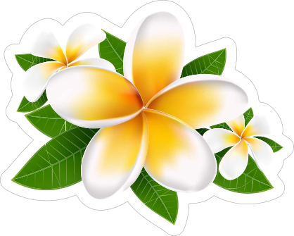 Fun Plumeria Flower Sticker
