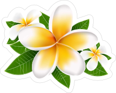 Fun Plumeria Flower Sticker
