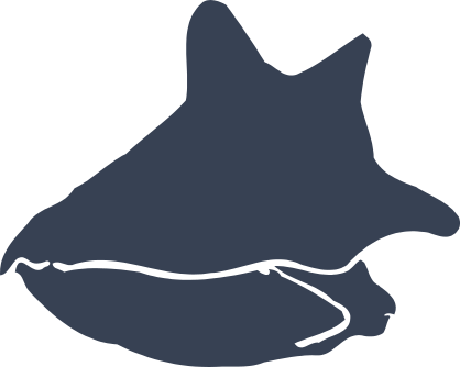 Funky Seashell Sticker