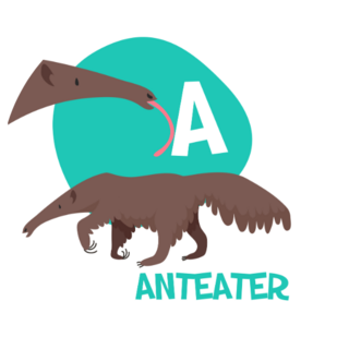 Funny Alphabet Anteater Sticker