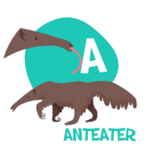 Funny Alphabet Anteater Sticker