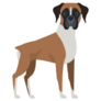 Funny Boxer Cartoon Sticker