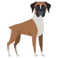 Funny Boxer Cartoon Sticker
