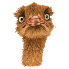 Funny Brown Ostrich Sticker