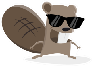 Funny Cartoon Beaver With Sunglasses Sticker