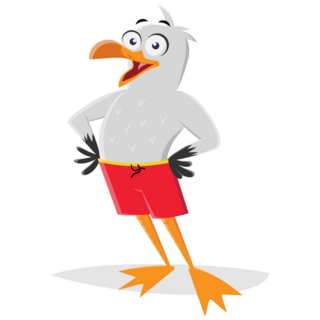 Funny Cartoon Seagull Sticker