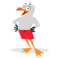 Funny Cartoon Seagull Sticker