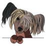 Funny Chinese Crested Sticker