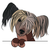 Funny Chinese Crested Sticker