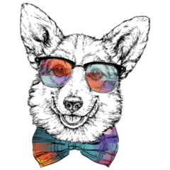 Funny Corgi With Sun Shades Stickers