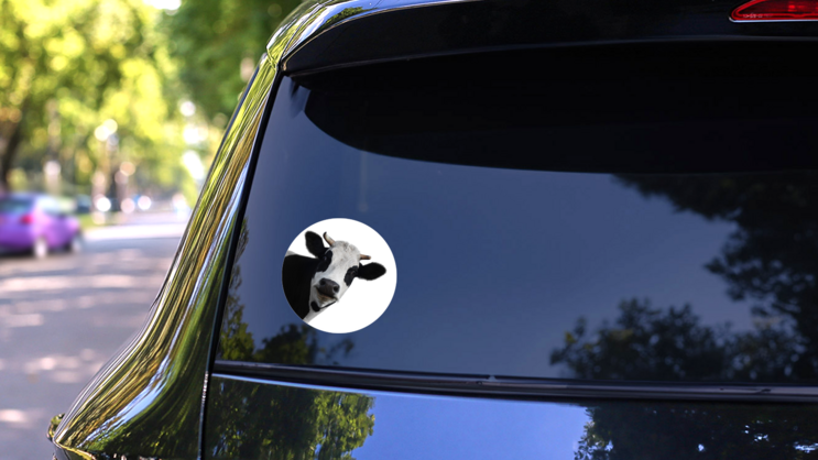 Funny Cow Isolated On A White Sticker on a Rear Car Window (New) example