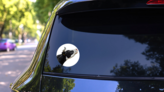 Funny Cow Isolated On White Farm Animals Sticker on a Rear Car Window (New) example