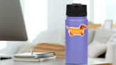 Funny Dachshund Hot Dog Sticker on a Water Bottle (New) example