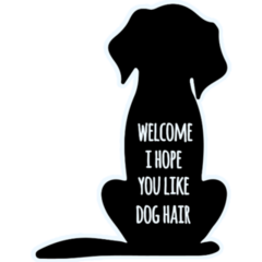 Funny Dog Hair Sticker