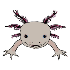 Funny Face Axolotl Sticker