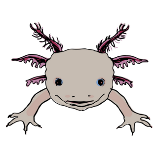 Funny Face Axolotl Sticker
