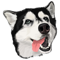 Funny Face Husky Sticker