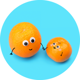 Funny Food Tangerines Couple Sticker