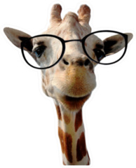 Funny Giraffe With Big Glasses Sticker