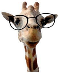 Funny Giraffe With Big Glasses Sticker