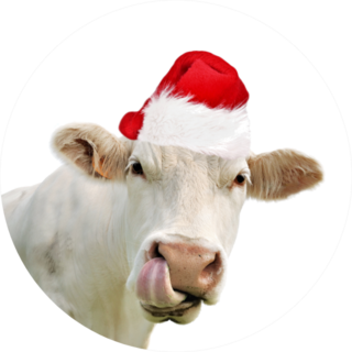 Funny Portrait Of Cow Wearing A Santa Hat Sticker