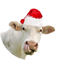 Funny Portrait Of Cow Wearing A Santa Hat Sticker