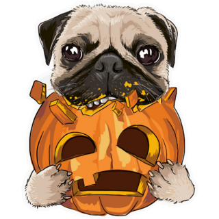 Funny Pumpkin Pug Sticker