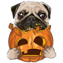 Funny Pumpkin Pug Sticker