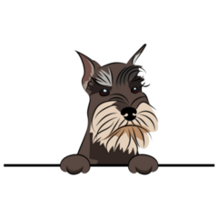Funny Schnauzer Sticker