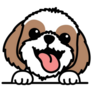 Funny Shih Tzu Sticker