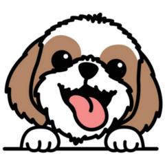 Funny Shih Tzu Sticker