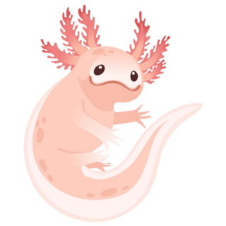 Funny Smile Axolotl Sticker