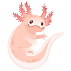 Funny Smile Axolotl Sticker