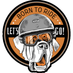 Funny St Bernard Sticker