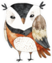 Funny Watercolor Owl Sticker