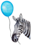 Funny Zebra Character Holds A Balloon Sticker