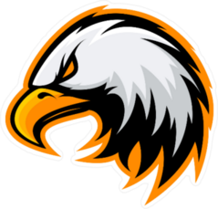 ◡̈*✧Eagle il_1080xN.4817438105_k9e0.jpg