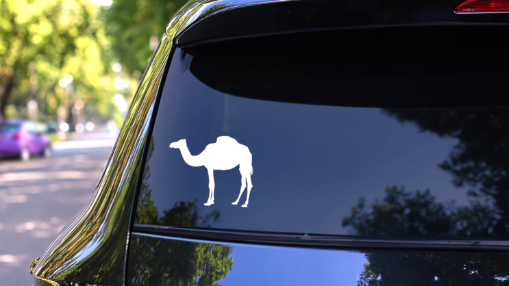 Furry Camel Standing Sticker on a Rear Car Window (New) example