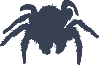 Furry Spider Sticker