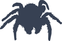 Furry Spider Sticker