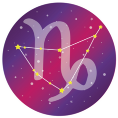 Fuschia Capricorn Signs Starry Galaxy Sticker 