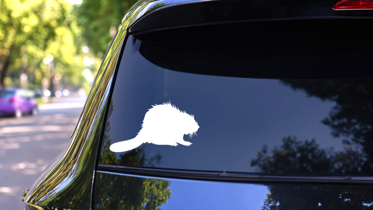 Fuzzy Beaver Sticker on a Rear Car Window (New) example