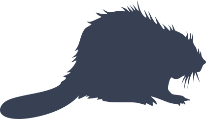 Fuzzy Beaver Sticker