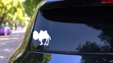 Fuzzy Camel Sticker on a Rear Car Window (New) example