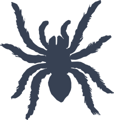 Fuzzy Spider Sticker