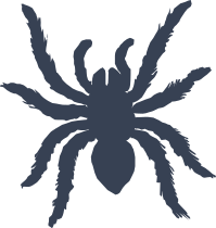 Fuzzy Spider Sticker