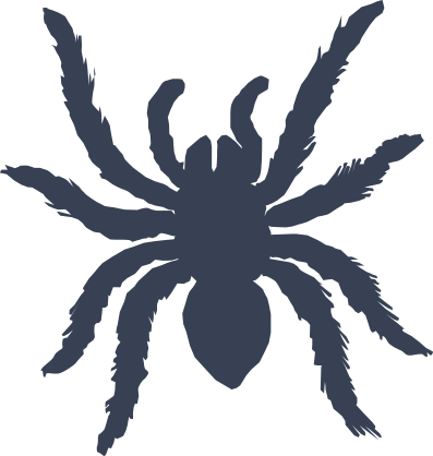Fuzzy Spider Sticker