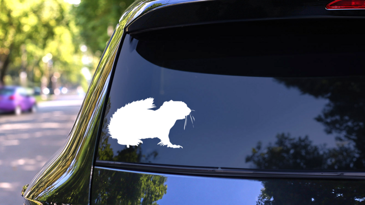 Fuzzy Squirrel Sticker on a Rear Car Window (New) example