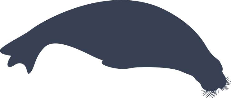 Fuzzy Walrus Swimming Sticker